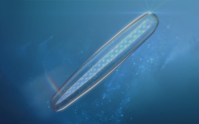 その他スピケア商品